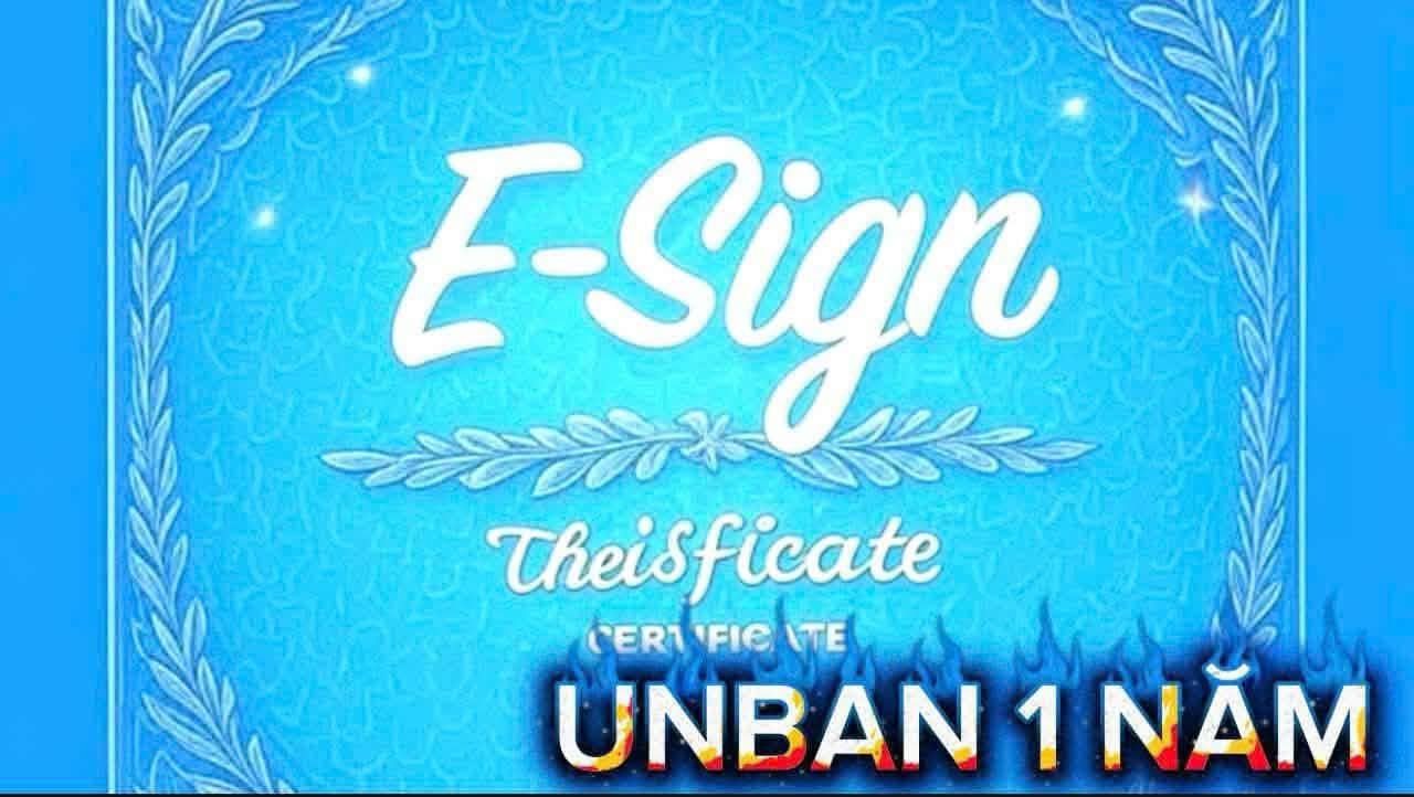 Esign Bảo Hành 300D